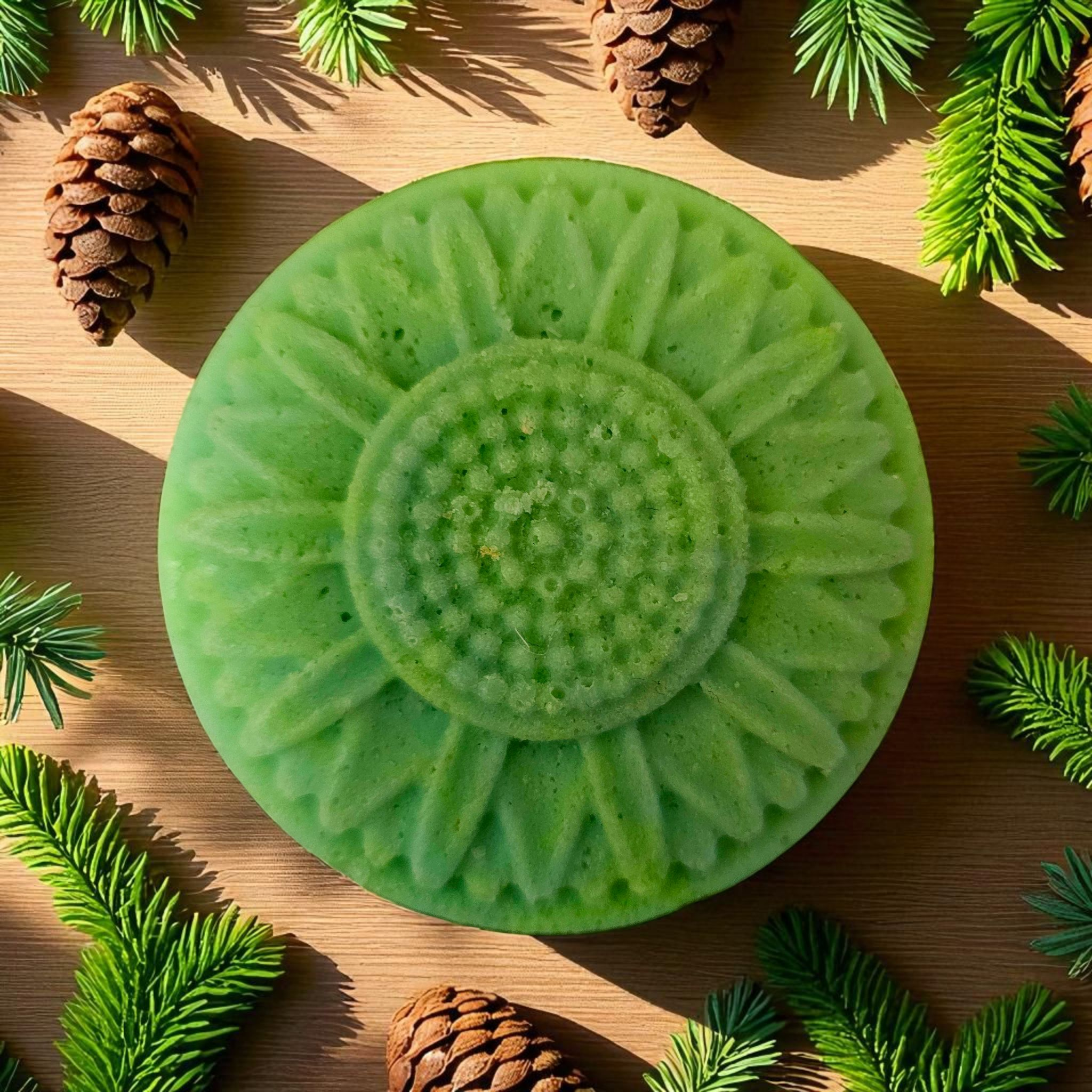 Waldzauber Naturseife mit Schwamm